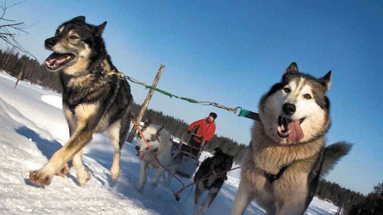 wintersport Lapland