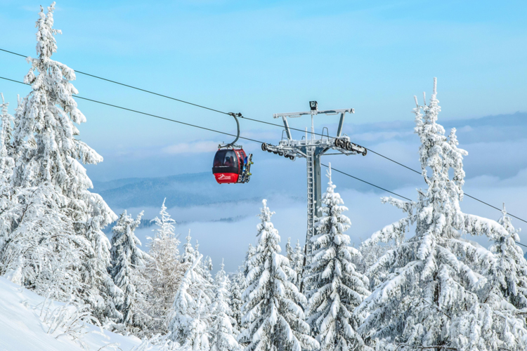 De beste Europese wintersportbestemmingen voor gezinnen